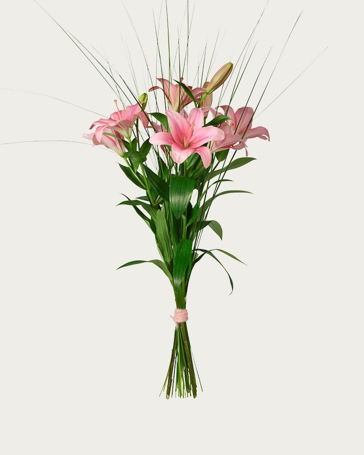 Rosa liljor med gräs